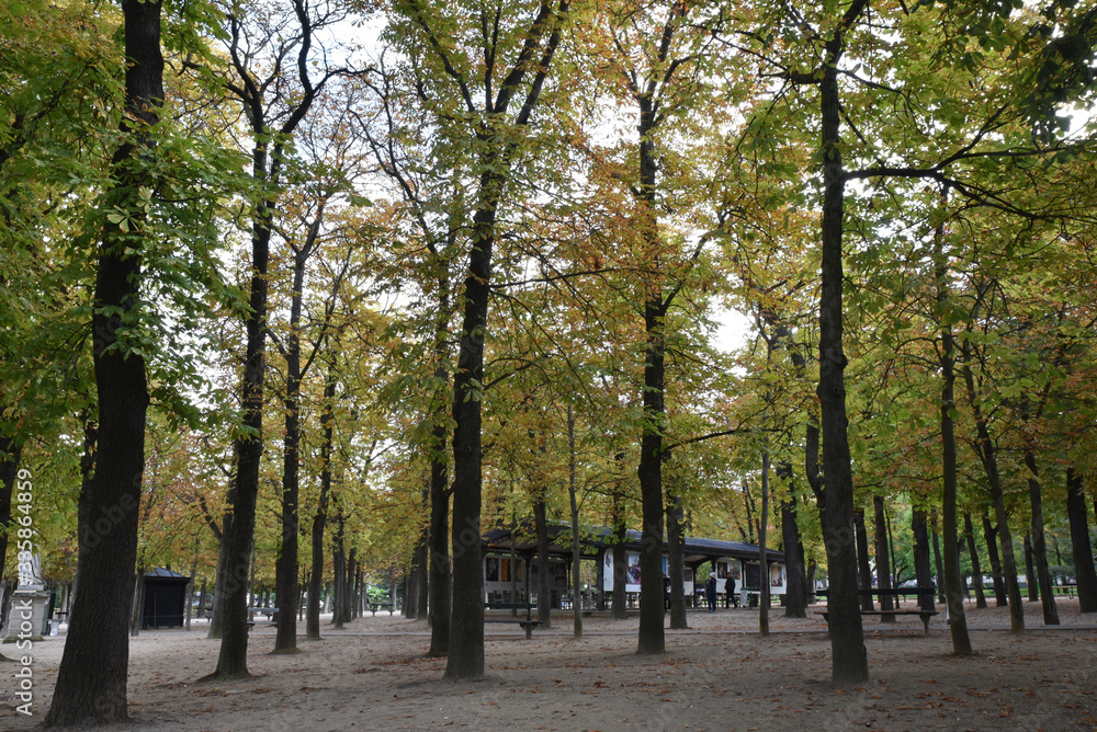 Jardin du Luxembourg en automne à Paris, France