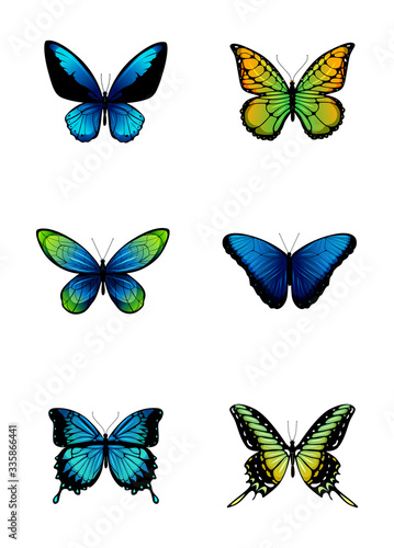 Coloured butterflies collection. © SERHII
