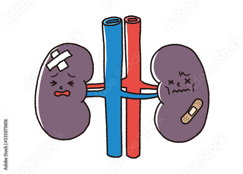 不健康な腎臓のキャラクター、腎不全