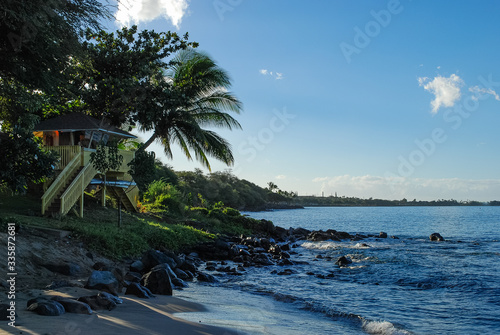 tropical beach with palm trees and beach house