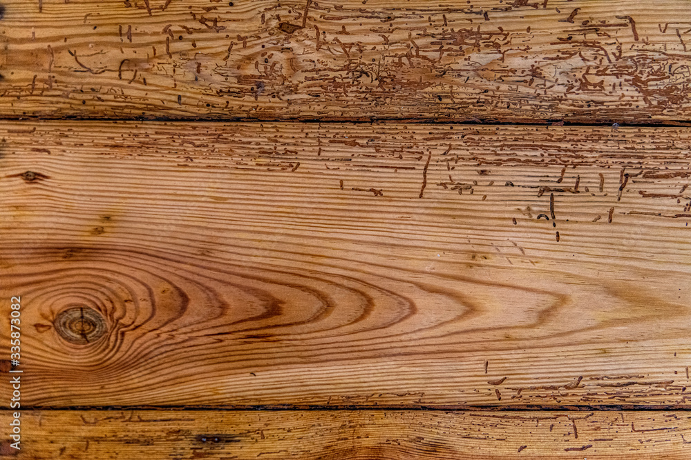 Fototapeta premium Stare, zniszczone przez korniki deski, całe tło