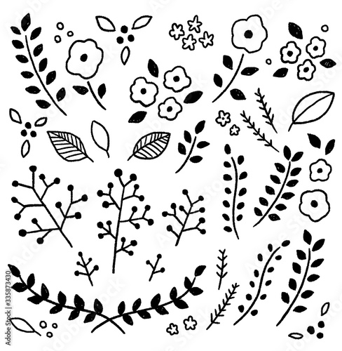 
手書きの植物　お花　モノクロ