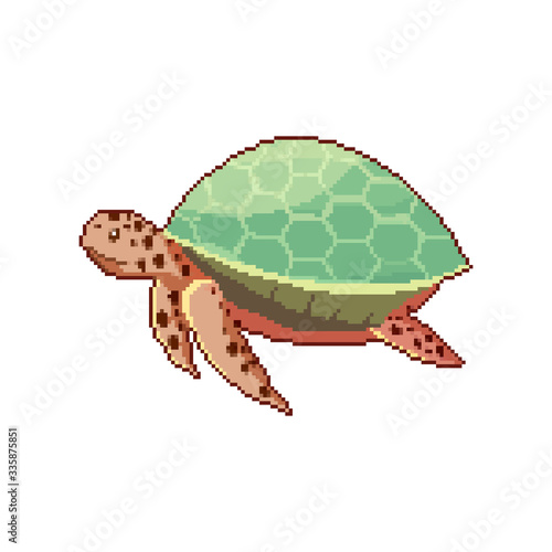 Pixel turtle. Pixel art 8 bit
