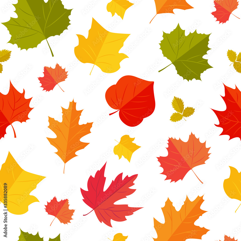 Fototapeta premium Autunm colorful leafs pattern