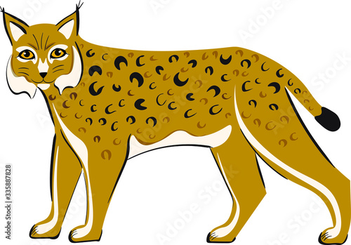 Lynx, animals vector isolated illustration on white background. Concept for logo, icon , print 