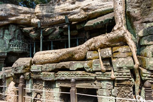 Metal scaffolding provide support for walls as the roots of a giant tree threaten to ruin and take over the Unesco World Heritage site of Ankor Thom, Siem Reap, Cambodia