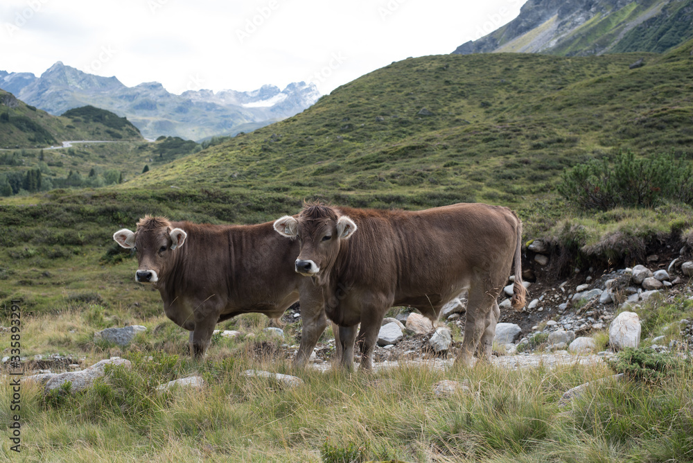 Japan is pure magic!