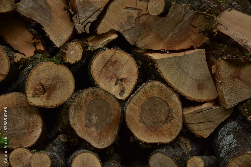 firewood tree wood log fuel heat street texture firewood tree wood log fuel heat street texture
