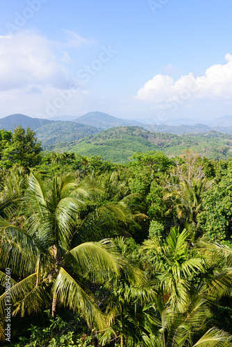 Tree covered jungle hills, Thailand