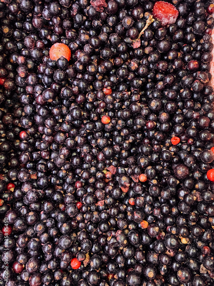 lots of ripe delicious currant berries to eat a background lots of ripe delicious currant berries to eat a background