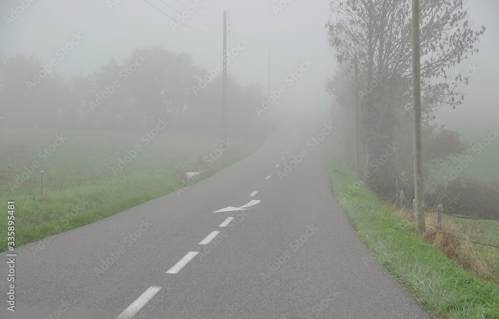 Fototapeta premium FRANCE ROAD. FOG. FALL.