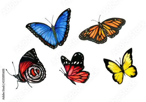 set of watercolor butterflies © Sergey Kvitko