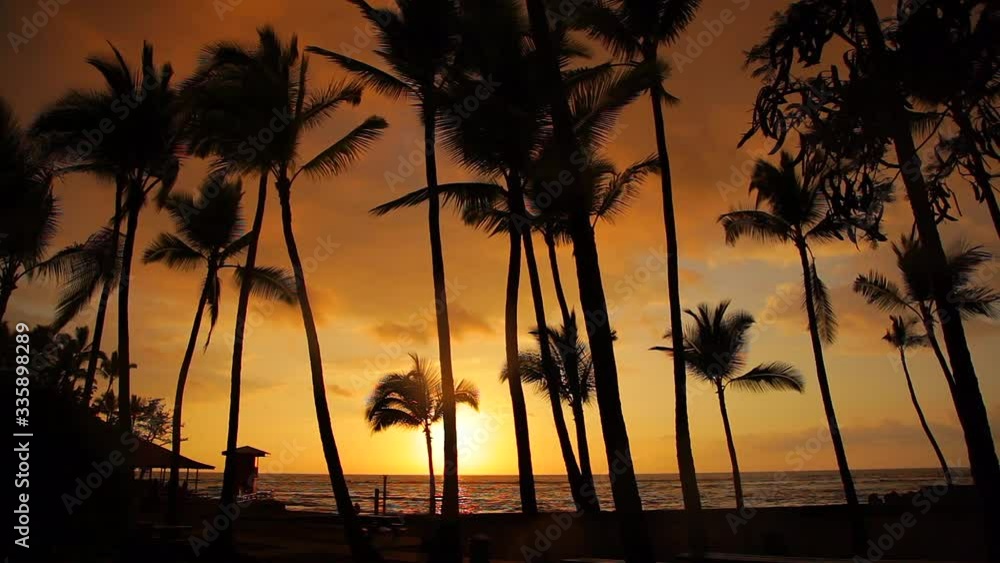 A colorful sunset at the water's edge in Kona on the island of Hawaii as seen through a row of tall coconut trees with their fronds swaying in the tropical breeze.