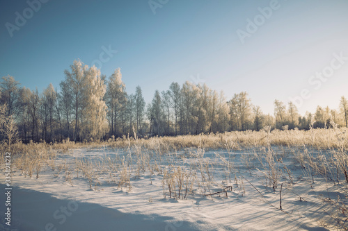 Winter forests in the frost, the snow around is beautiful