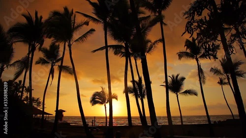A colorful sunset at the water's edge in Kona on the island of Hawaii as seen through a row of tall coconut trees with their fronds swaying in the tropical breeze.