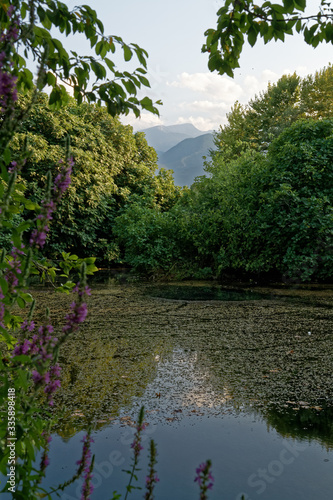lake in the park, under mountain Olympos, Greece
