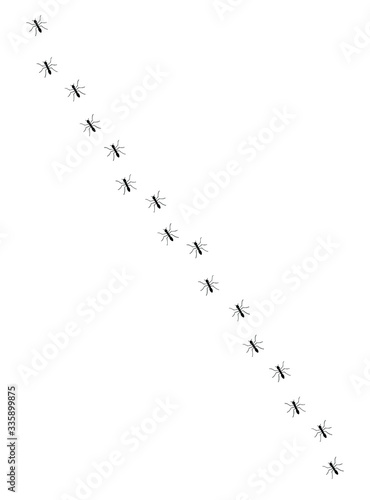 Vector black sketch ants silhouette path line isolated on white background