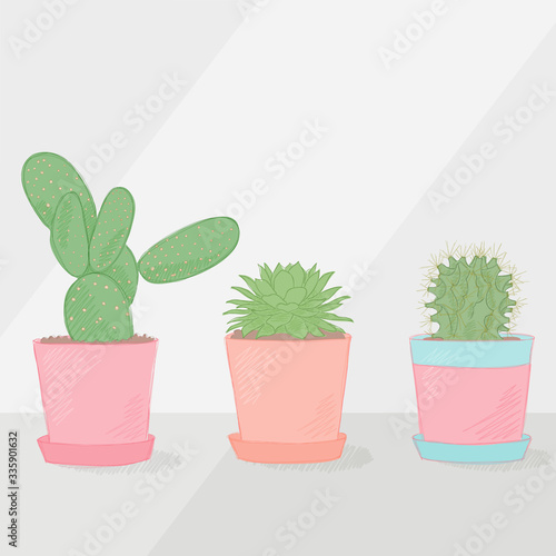 Three succulents in a flowerpot. Cactus and houseleek growing inside a pastel color pot. Spring, flower illustration.