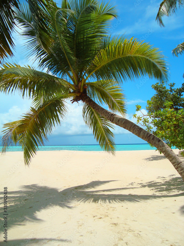 Beautiful tropical beach with white sand, palm tree, turquoise ocean on background blue sky with clouds on sunny summer day. Perfect landscape background for relaxing vacation, island of Maldives. Beautiful tropical beach with white sand, palm tree, turquoise ocean on background blue sky with clouds on sunny summer day. Perfect landscape background for relaxing vacation, island of Maldives.