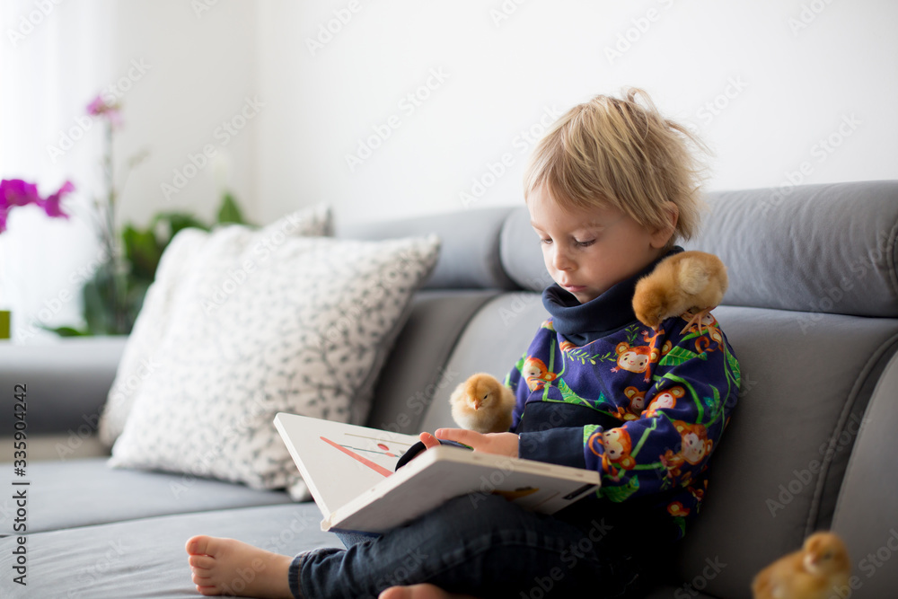 Little toddler child, blond boy, reading book with sweet chicks Little toddler child, blond boy, reading book with sweet chicks