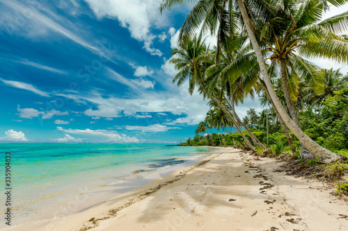 Fototapeta Naklejka Na Ścianę i Meble -  Tropical beach on south side of Samoa Island with coconut palm trees