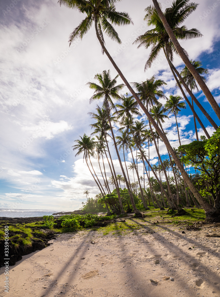 Tropical beach on south side of Samoa Island with coconut palm trees Tropical beach on south side of Samoa Island with coconut palm trees