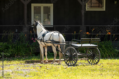 White horse and cart Amish home Ohio. Old Amish Mennonite settlement. Rural old order. Farming landscape and business. Despain Rekindle Photo. © Donley Despain