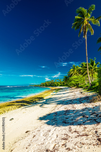 Tropical beach on south side of Samoa Island with coconut palm trees