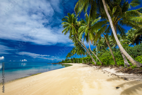 Fototapeta Naklejka Na Ścianę i Meble -  Tropical beach on south side of Samoa Island with coconut palm trees