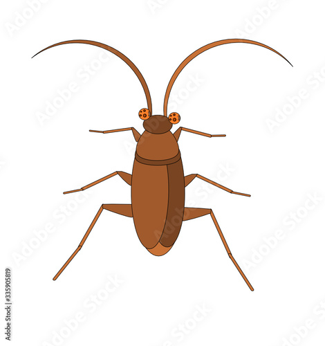 Vector illustration of cockroach on white background 