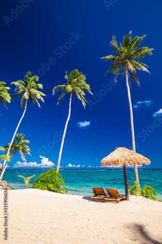 Vibrant tropical beach with palm trees, Upolu, Samoa