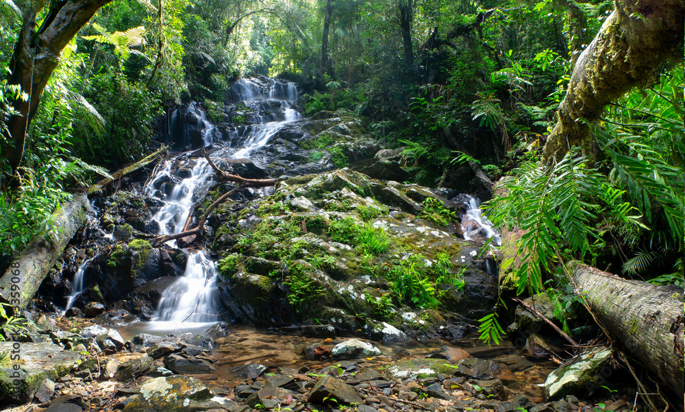 Waterfall in world heritage tropical rainforest. 