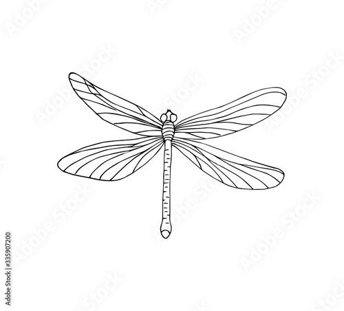 Vector hand drawn doodle sketch dragonfly isolated on white background