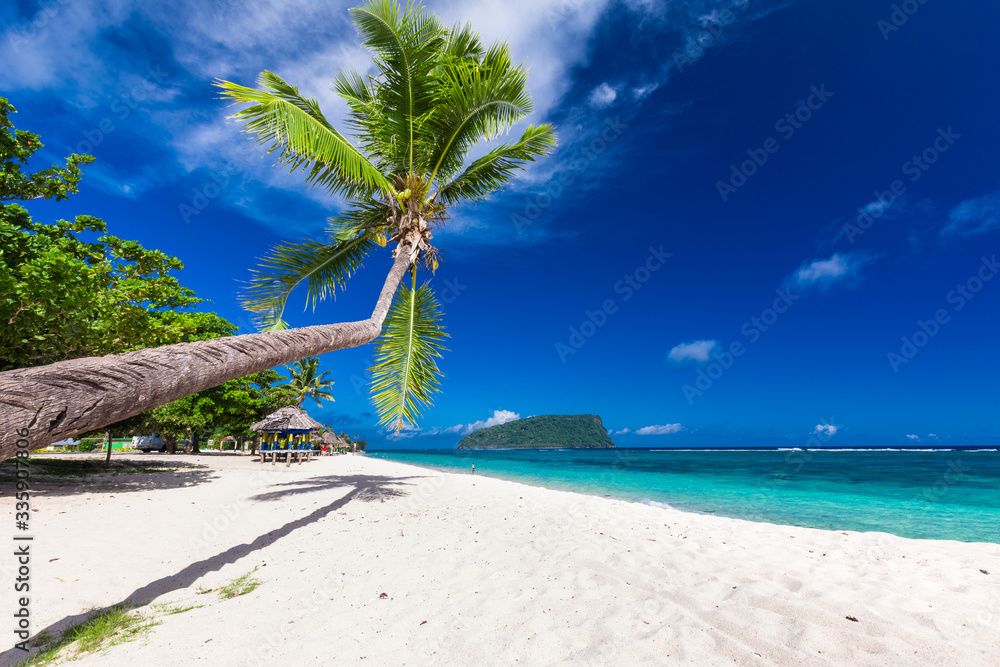 Obraz premium Tropical beach on south side of Samoa Island with coconut palm trees