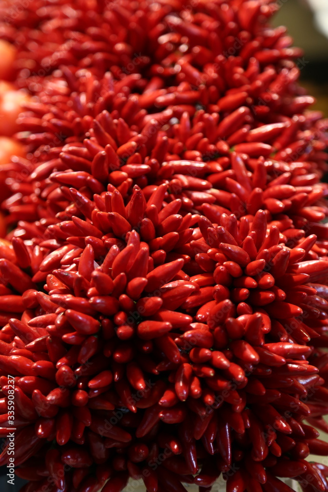 Fresh ripe chili peppers for sale Fresh ripe chili peppers for sale