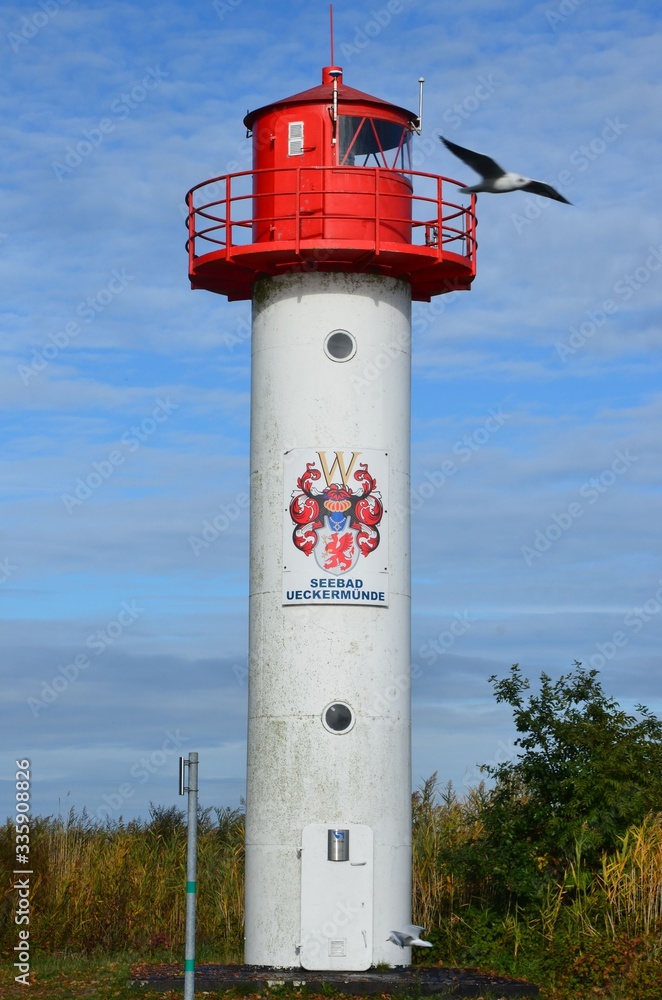 Leuchtturm im Seebad Ueckermünde mit Seemöwe