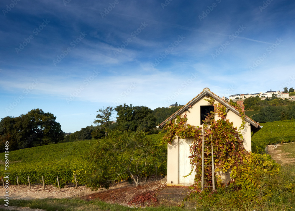 View of Grapevine Field with Hut, trees and hills. Sancere, Loire Valley, France View of Grapevine Field with Hut, trees and hills. Sancere, Loire Valley, France