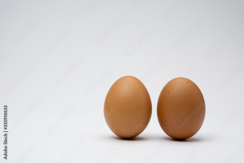 chicken egg on a white background chicken egg on a white background