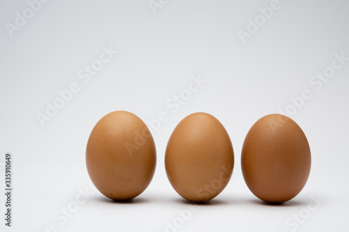 chicken eggs on a white background