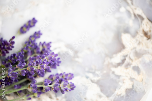 Fresh Lavender on textured stone background photo