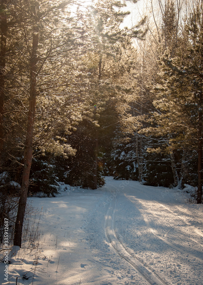 Beautiful winter landscape with lot of snow Beautiful winter landscape with lot of snow