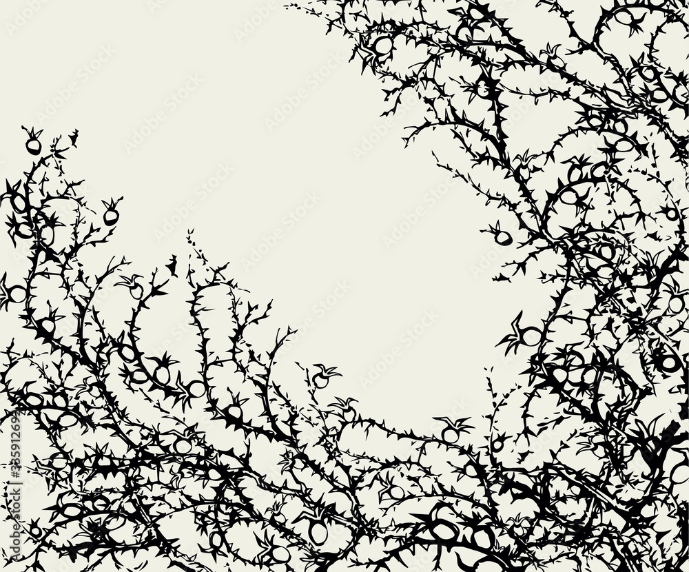 Fototapeta premium Branch of Blackthorn. Vector drawing