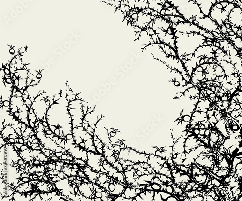 Branch of Blackthorn. Vector drawing