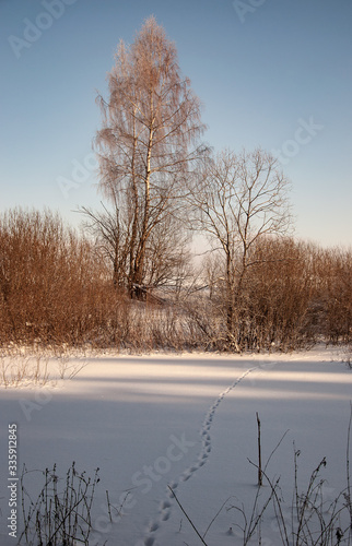 Beautiful winter landscape with ice river