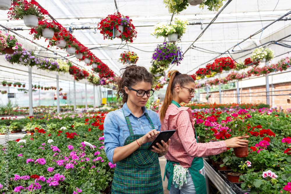 Two woman work in modern nursery plant store with notebook Two woman work in modern nursery plant store with notebook