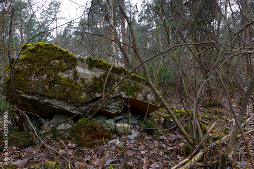 Ruined buildings in the forest overgrown with shrubs and moss