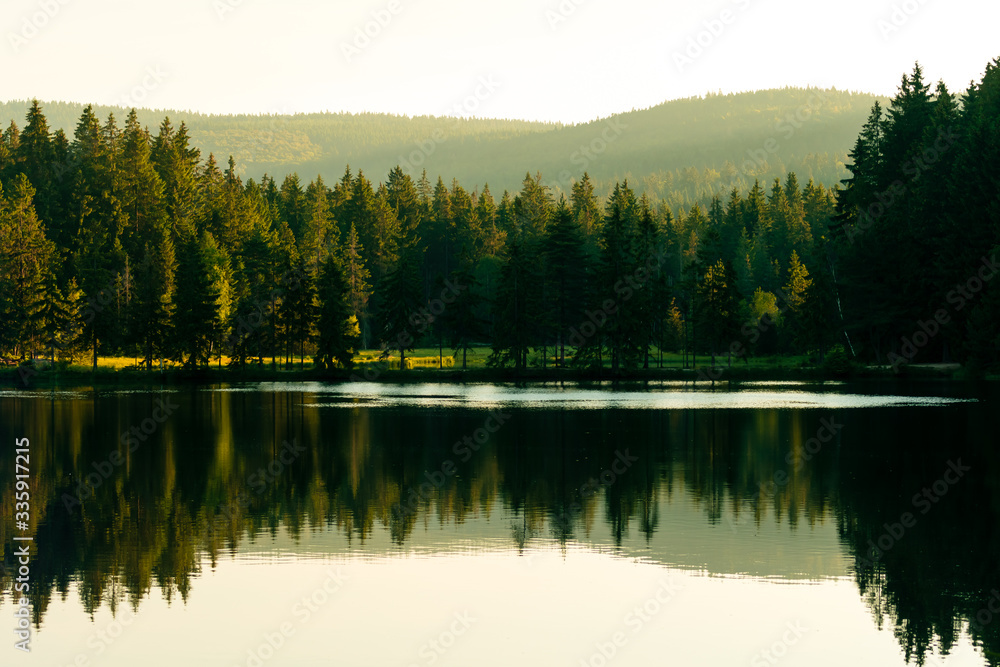 Sunrise at a forest lake Sunrise at a forest lake