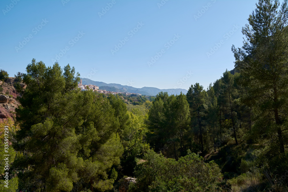 Mountain landscape with pine trees, blue sky