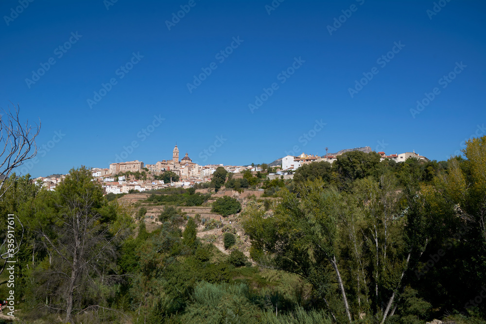 Mountain village among trees with blue sky