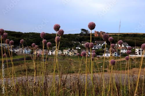 Bude (England), UK - August 08, 2015: Bude village, Cornwall, United Kingdom. photo